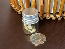 Load image into Gallery viewer, Tiny Bone Specimen Jar Vial. Terrarium like Assemblage Thing with Badger Bone. Antique Glass Vial with Animal Bone Specimen.
