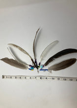 Load image into Gallery viewer, Handmade Smudge feathers

